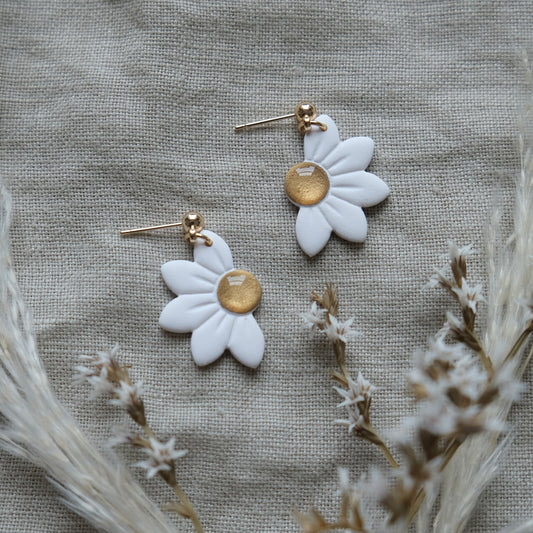mini nóinín