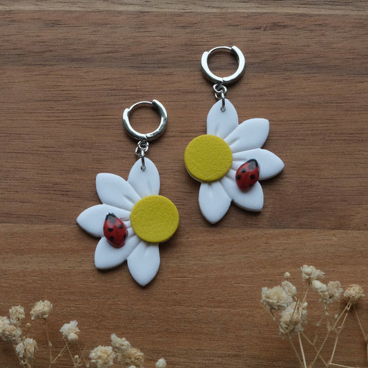 nóinín le bóin dé